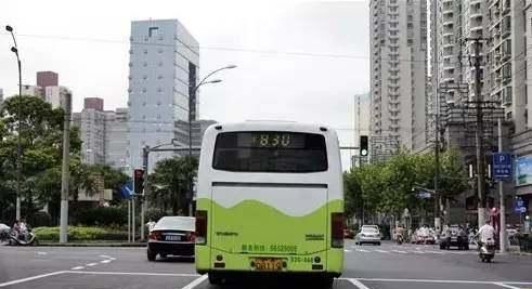 违章|不小心闯了红灯，半个月没收到违章通知，是不是就没事？