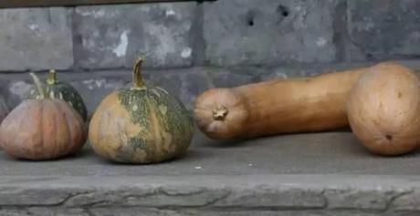 小院|20多岁的年龄差距,却把一个破烂的农家小院变成了“桃花源”