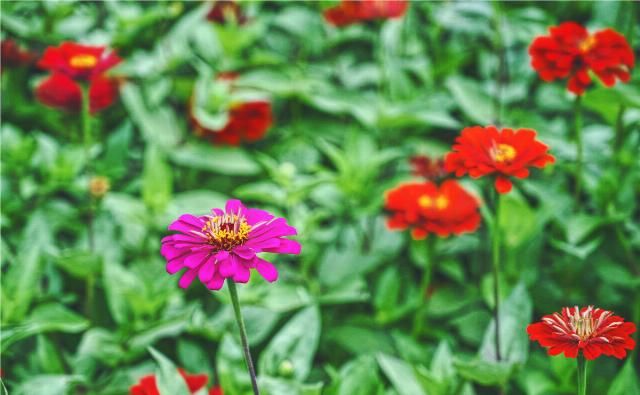 风景|湖北最低调景区，位于襄阳，名气比不过古隆中，但是风景毫不逊色