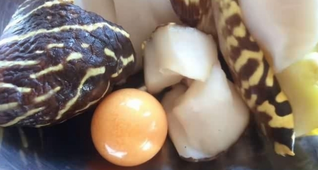  珍珠|男子出海打鱼，意外捞到一超大海螺，打开之后笑得合不拢嘴