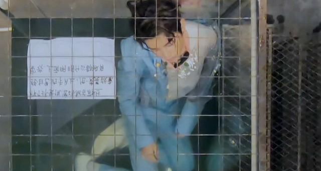  联动|《密逃》下期黄明昊生死一线，惊喜嘉宾出现，是要和《明侦》联动