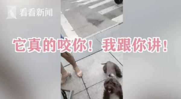 辅警|女子遛狗不牵绳…不但不听劝阻，还直接放狗咬人！