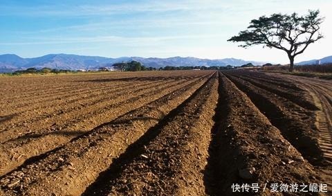 萨尔浒|图解萨尔浒战役,史书不会告诉你的细节