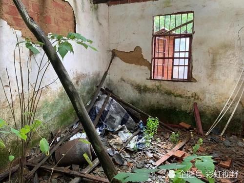  宋小女|岁月有痕，张玉环被羁押9778天，妻儿的命运全被改变