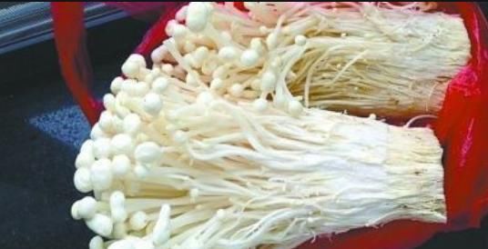  美味|入秋后，吃大鱼大肉都不如吃它，营养美味还开胃，关键还便宜！