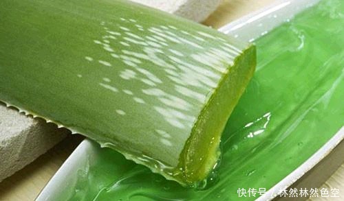 保湿|芦荟美容养颜,可以涂脸保湿。具体步骤告诉你