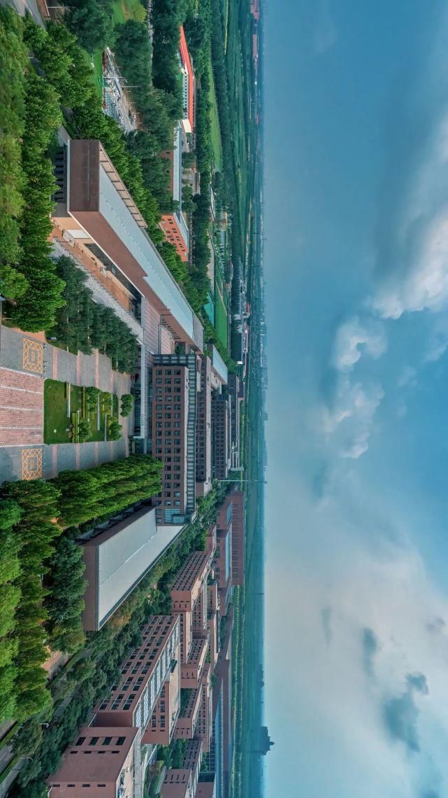 北洋园|啊,我的天大啊!