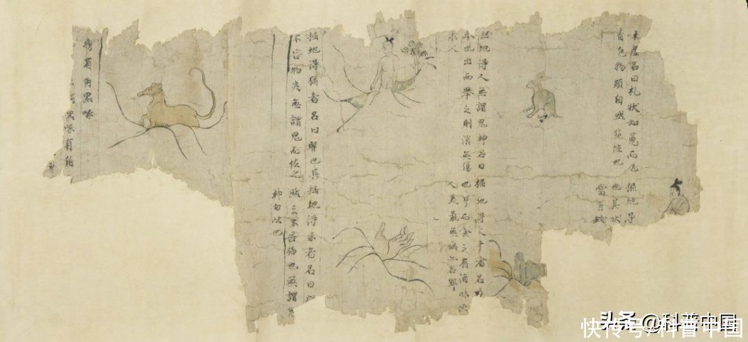 九头相柳的9个头到底是怎么摆的(“九头相柳”的 9 个头，到底是怎么摆的？知道真相的我……)