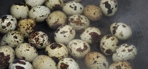 鹌鹑蛋|鹌鹑蛋别光卤着吃了，教你一种新做法，一口一个，一大盘不够吃