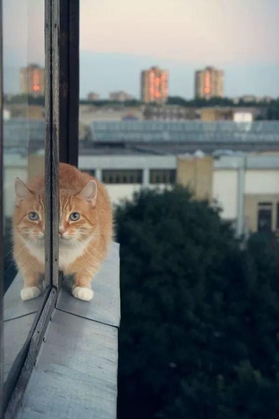 难得一见|奇妙风光，难得一见