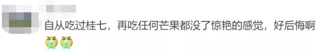  广西卫视|它凭啥“剩者为王”？因为够老水够甜够大啊