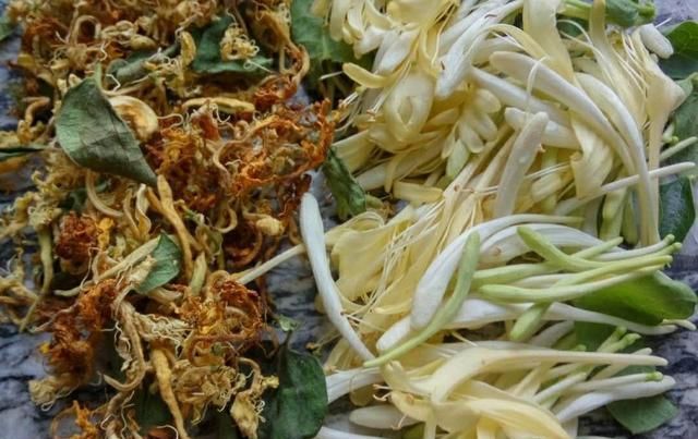  荒山|荒山只能退耕还林？农民返乡就业想发家致富，种植点啥？