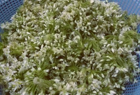 姜末|做韭花酱,别只放姜末,多加这1样东西,韭花酱又香又绿存放久