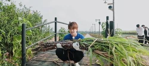 自言自语|任嘉伦自言自语变话痨,国超语录被更新,谭松韵却能让他乖乖闭嘴