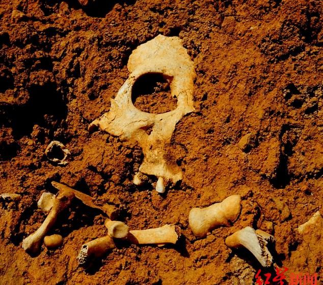  文化公园|山西发现疑似长平之战尸骨坑：尸骨曾被收购做饲料 现拟建国家文化公园