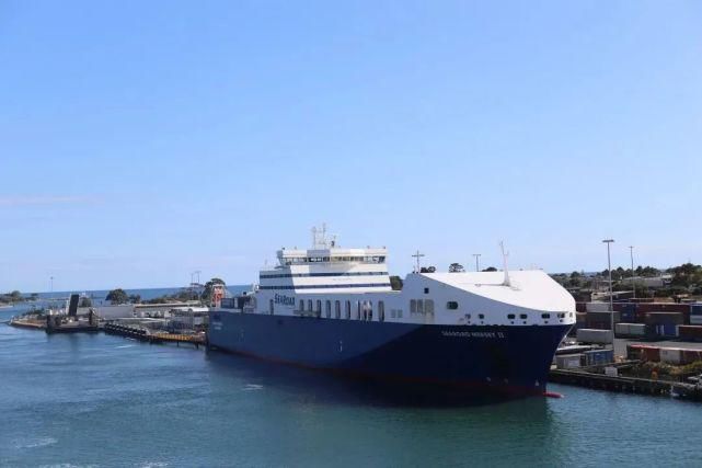  风景|塔斯马尼亚 | 世界尽头那颗绿色的心，是我念念不忘的风景