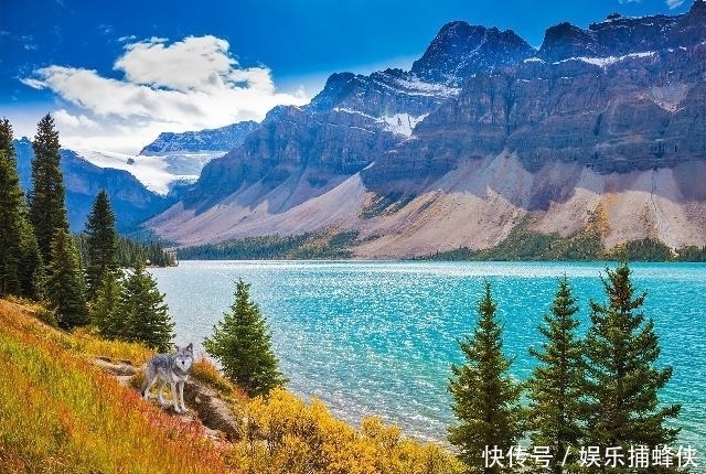 条件|当今社会公认的30岁的男人要达到的条件,你满足了几条?