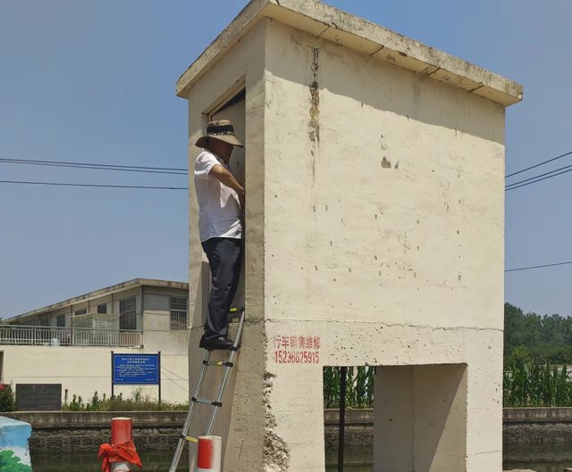 河东区葛沟灌区：全力做好夏灌插秧赋能农业增产增收