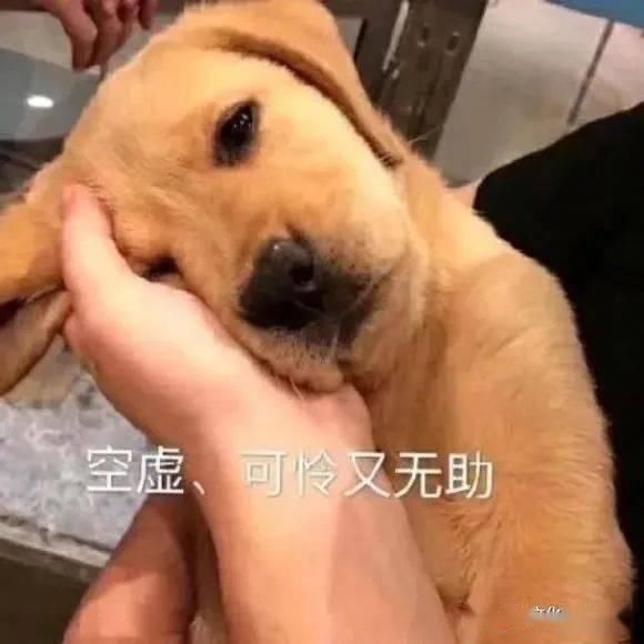  活见鬼|一个月被掰5次后视镜，车主一看监控真是活见鬼了……