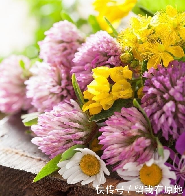 双子座|九月桃花满枝头,邂逅真爱,拥抱爱情,甜蜜度过余生的星座