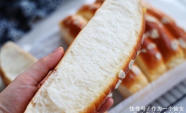 中种面团|开学后,我家最受欢迎的早餐,又香又松软的排排包,一口气吃3排