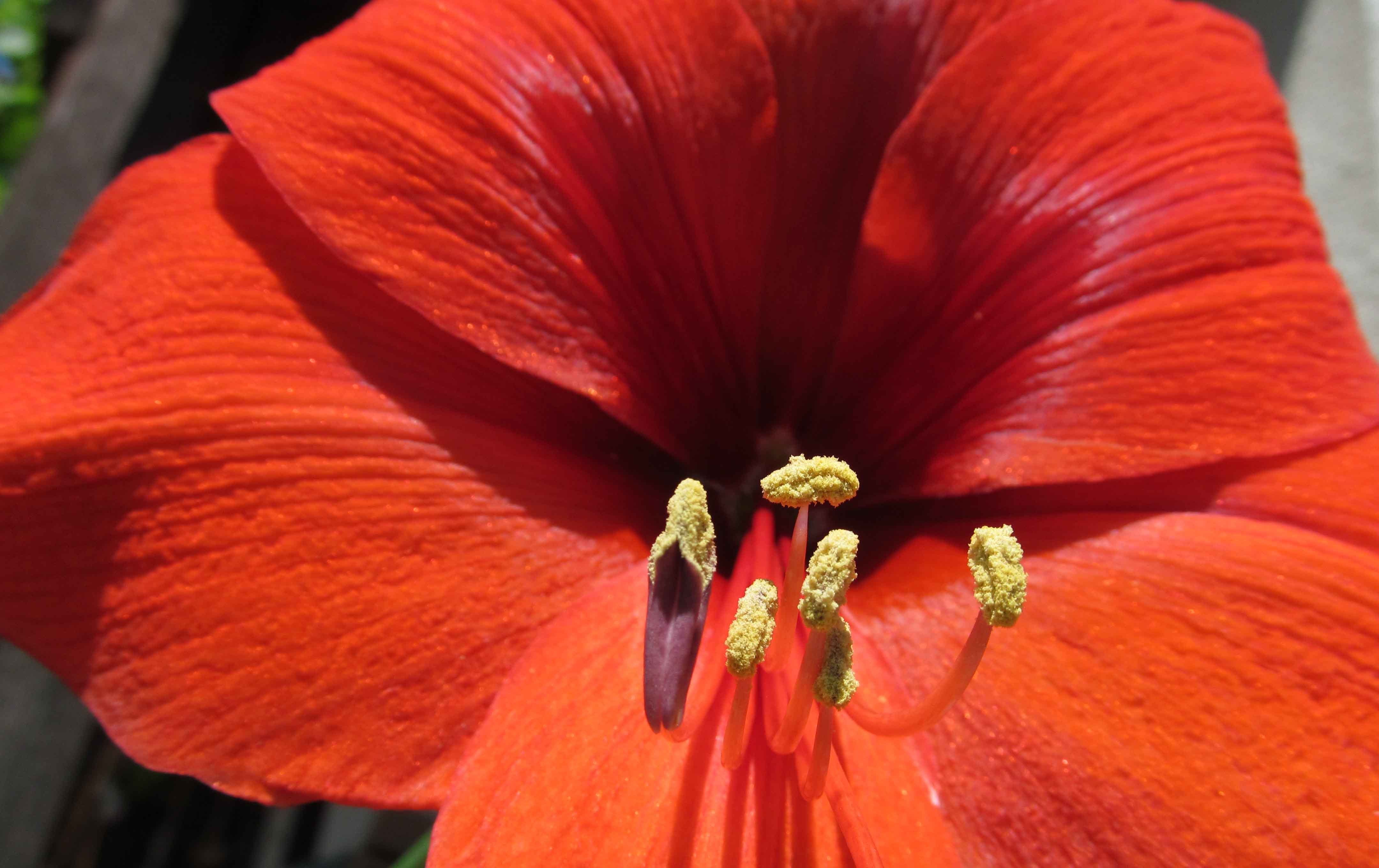  破镜重圆|8月，旧爱难忘，余情未了，姻缘不散，和旧爱破镜重圆的四大星座