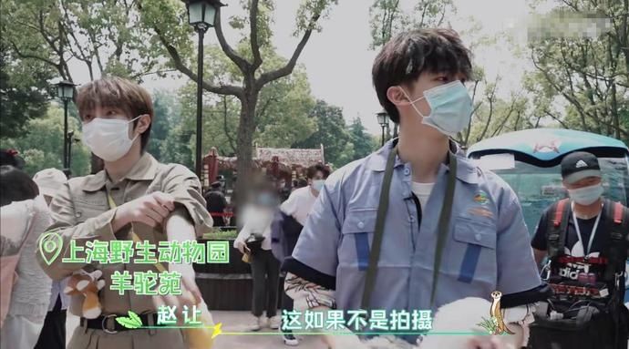  吓到|R1SE小团综：何洛洛给羊驼剪毛吓到周震南，任豪气场压制河马