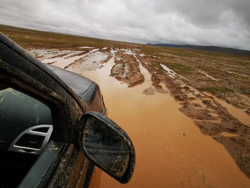 深圳|可可西里的守护者！深圳男子用镜头记录荒原上的藏羚羊
