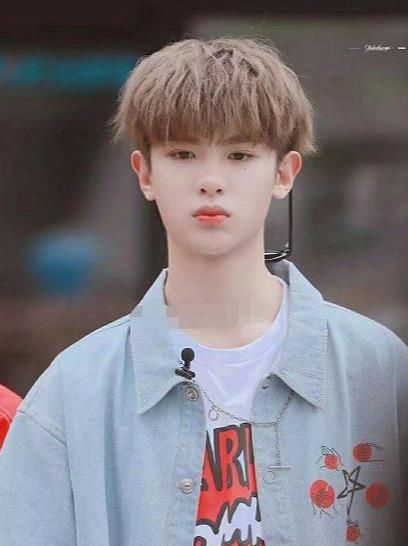  好听|周震南粉丝叫南极星，王晨艺粉丝叫小野兽，黄明昊粉丝名好听哭了