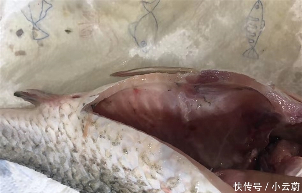 鲫鱼汤|鲫鱼汤最好喝的做法,营养又美味,出锅大人孩子抢着喝,真鲜