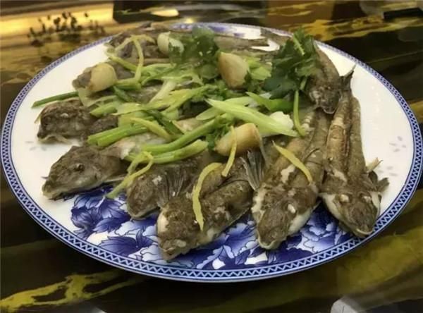 名叫|在潮汕有一种海鱼,土名叫鸡腿鱼,做好以后汤腥肉鲜,只能吃鱼肉