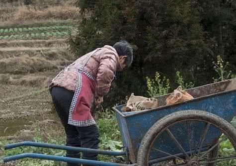 女子|天天打麻将，不带娃不煮饭的农村女子，多数换身份成为“少奶奶”
