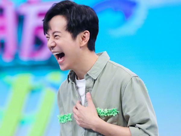  开车|为何《向往4》中多数是何炅开车？得知他的驾照等级，娱乐圈少见