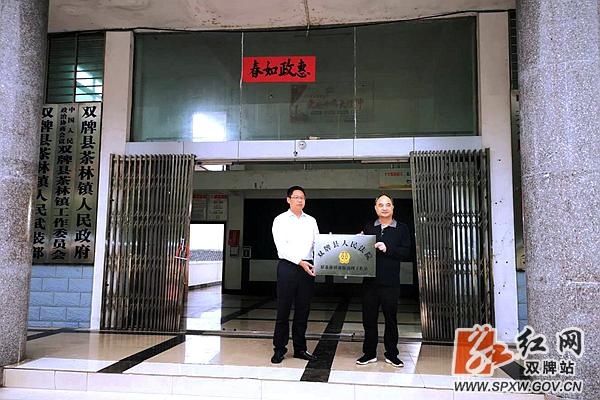 成立|双牌法院茶林法庭“诉源治理工作站”揭牌成立