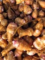 生姜|记忆中的崇明美味——地生姜