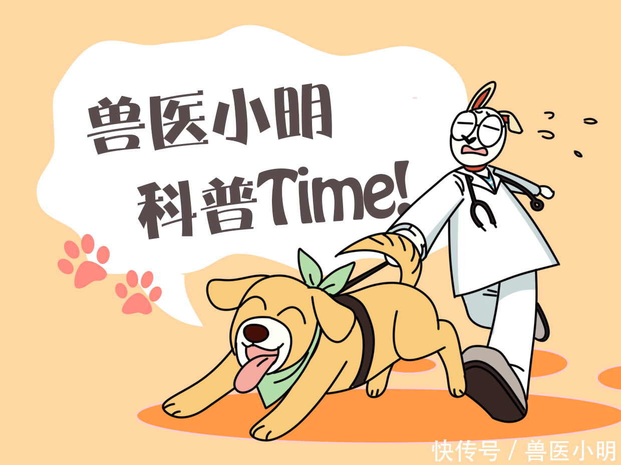 吃饭|女子每次吃饭,餐桌旁总会“长”出一颗狗头:再看就把你吃掉