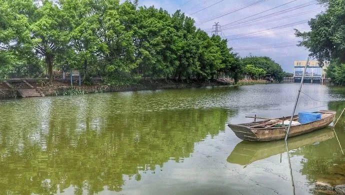  中国|成都最美“看海”高铁开通，8h玩转半个中国！