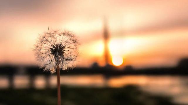 意义|夜读丨想你,就是我们相见的意义