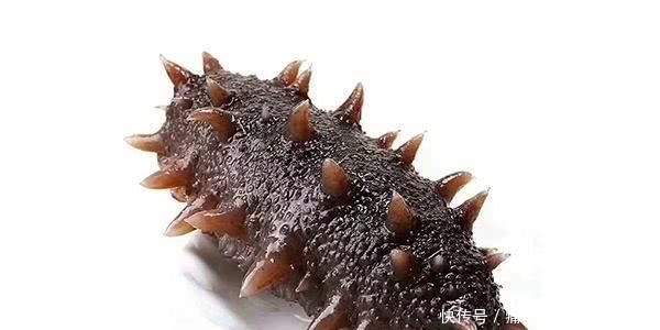 古人|为什么古人把“海鲜”称为“海错”?谈谈中国人吃海鲜的历史