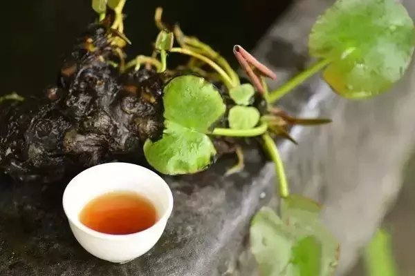 精匠|茶需精匠，人应打磨