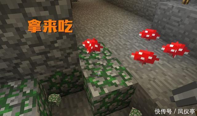 用途|我的世界:蘑菇有什么用?萌新只知道吃,在老手手中有6种用途!