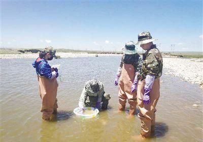  拯救|“拯救”湟鱼的生态回报