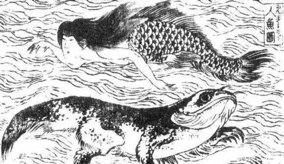 美人鱼|日本恐怖美人鱼