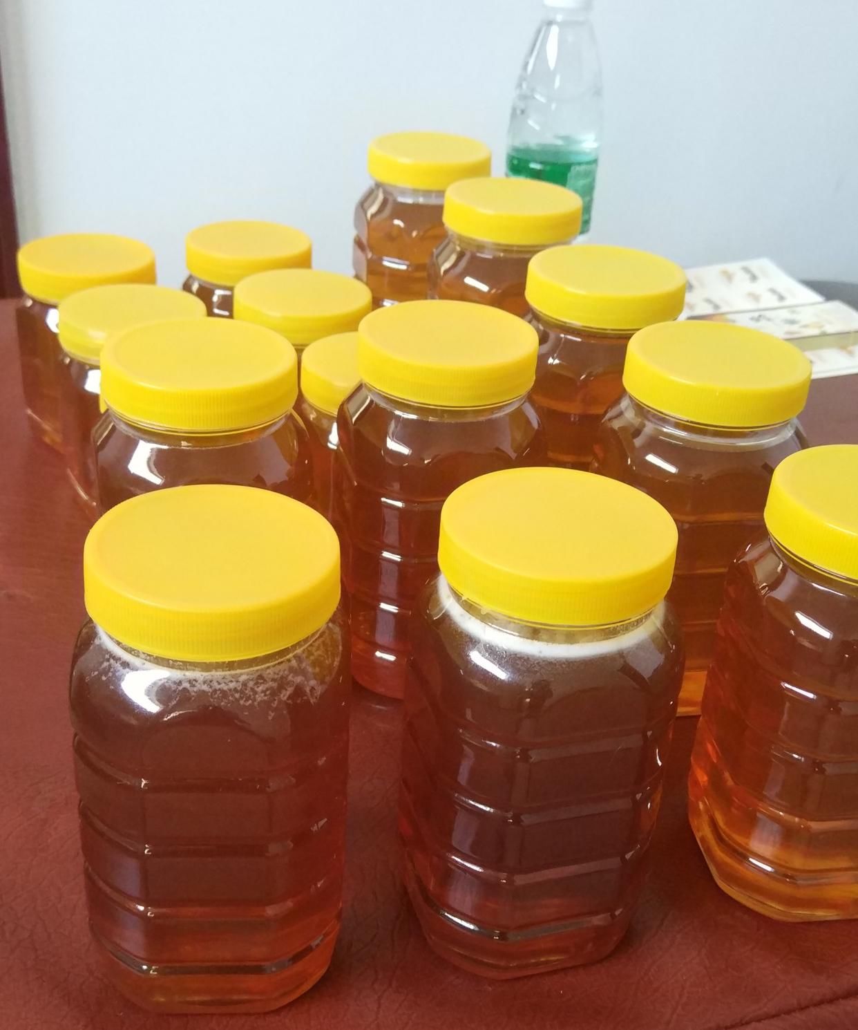  四大|蜂蜜知识分享，一起认识一下四大名蜜之一的荆条蜜