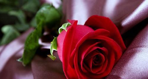  送给|适合发朋友圈的早安短句，经典有个性，送给深夜无眠的你