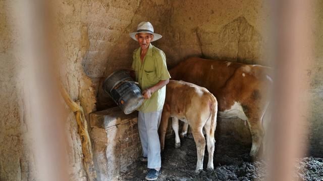 神器|农村7旬老人搞土建不请工程队，“铁杵墩”是神器，看是啥工具