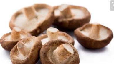 禁忌|多吃香菇身体棒棒,禁忌须知一点,想知道的看过来