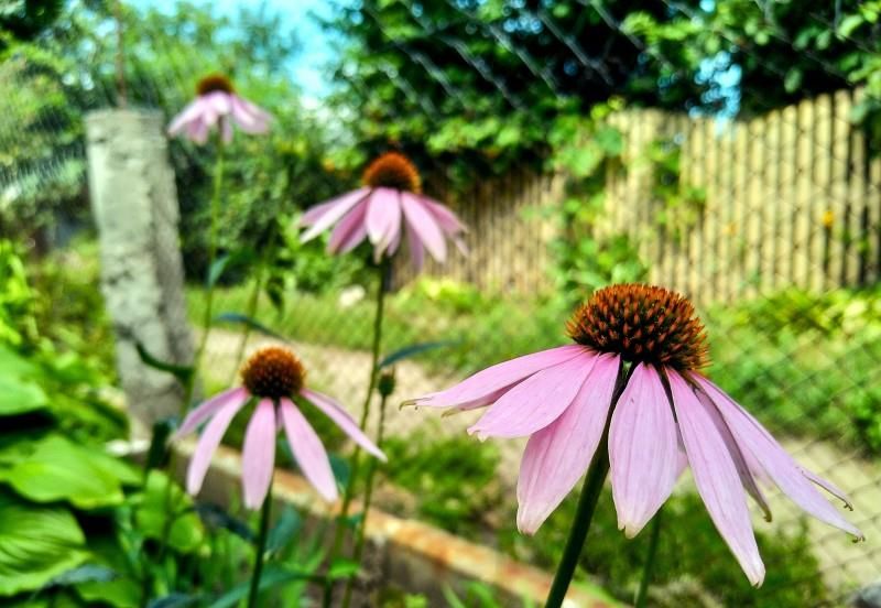  求财|9月第一周，事业风生水起，运势翻倍涨，求财得财的四大生肖