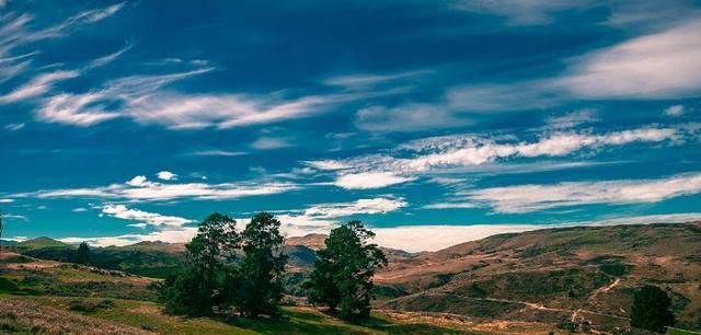  星座|独具慧眼，神机妙算的3个星座，但从来不管闲事，越活越通透