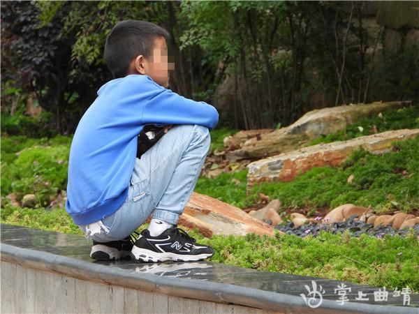 文明|【不文明行为随手拍】请勿在花台上行走